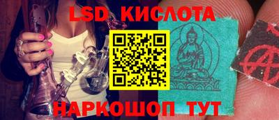 ПСИЛОЦИБИНОВЫЕ ГРИБЫ Славгород