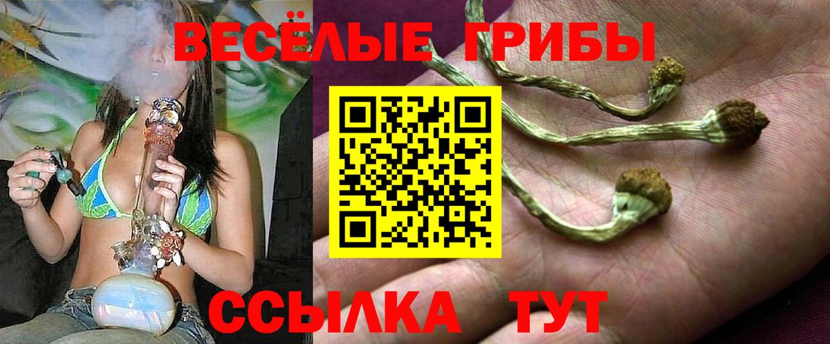 Орёл  закладка  Вход с VPN  Псилоцибиновые грибы ЛСД 